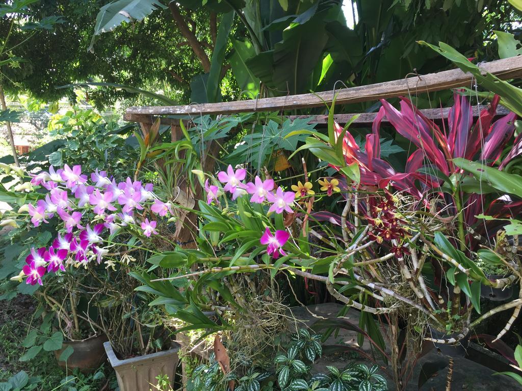 Ban Vivanh chambres d'hotes Luang Prabang Buitenkant foto
